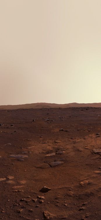 Обои Марс, Perseverence, коричневый цвет, цвет беж, полутона и оттенки в разрешении 1212x2622
