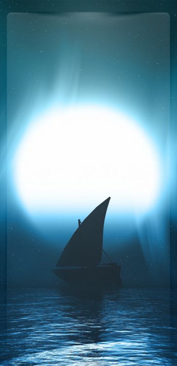 Обои вода, касатка, китообразные, лодка, атмосфера в разрешении 1080x2220