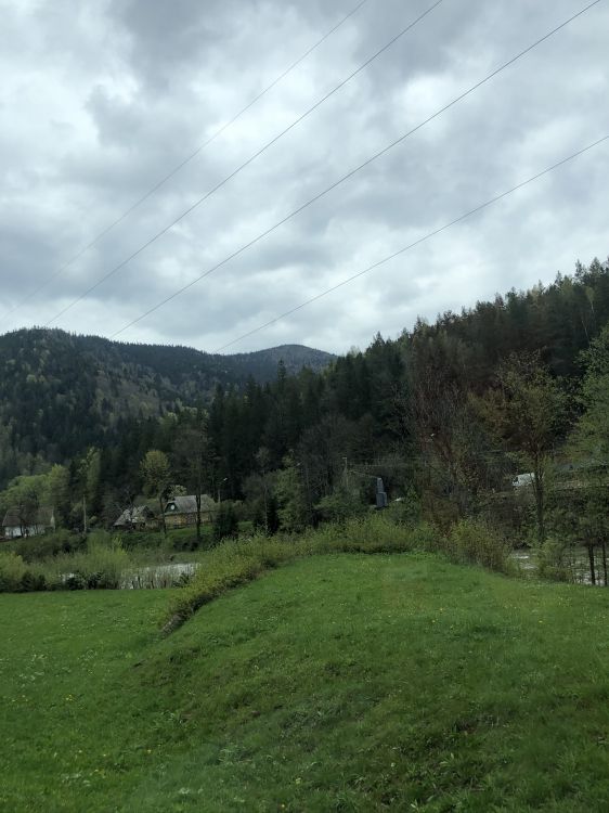 Обои Карпаты, нагорье, растительность, дерево, природный ландшафт в разрешении 1536x2048