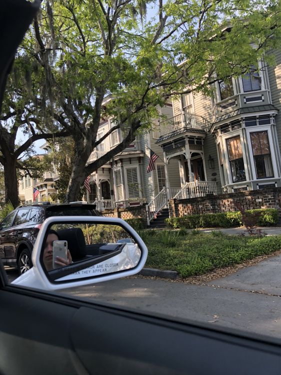 Обои дерево, Король, компактный автомобиль, малолитражный автомобиль, автомобиль среднего размера в разрешении 1536x2048