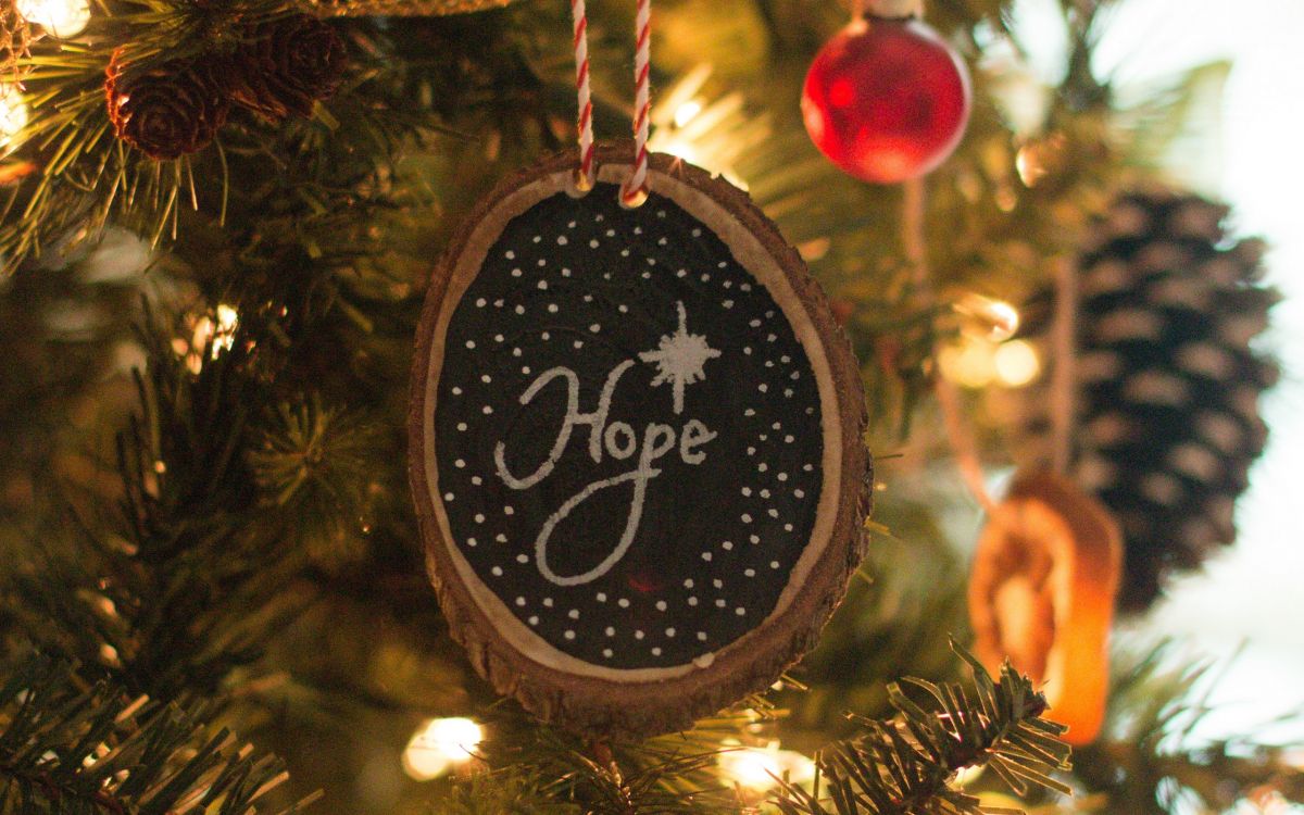 Обои Новый год, рождественский орнамент, Рождество, Рождественские украшения, дерево в разрешении 2560x1600