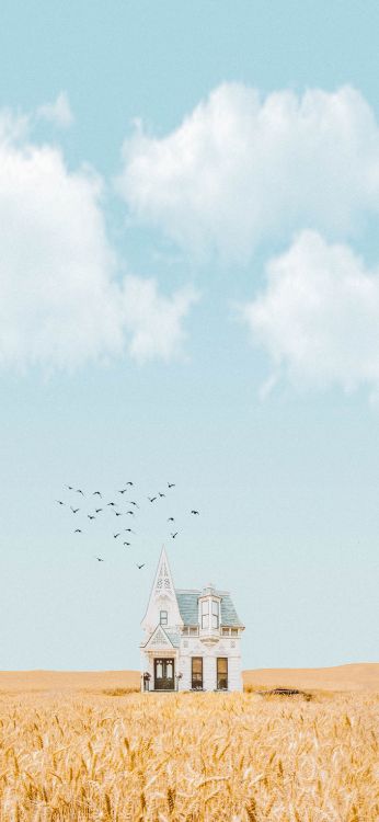 Обои Найл Хоран, Лирика, песня, облако, птица в разрешении 1400x3032