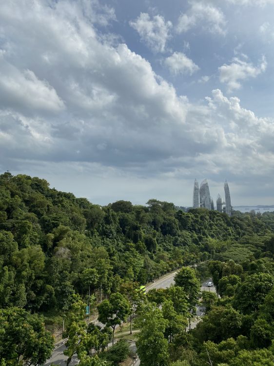 Обои растительность, пейзажи гор, биом, кустарник, природа в разрешении 1536x2048