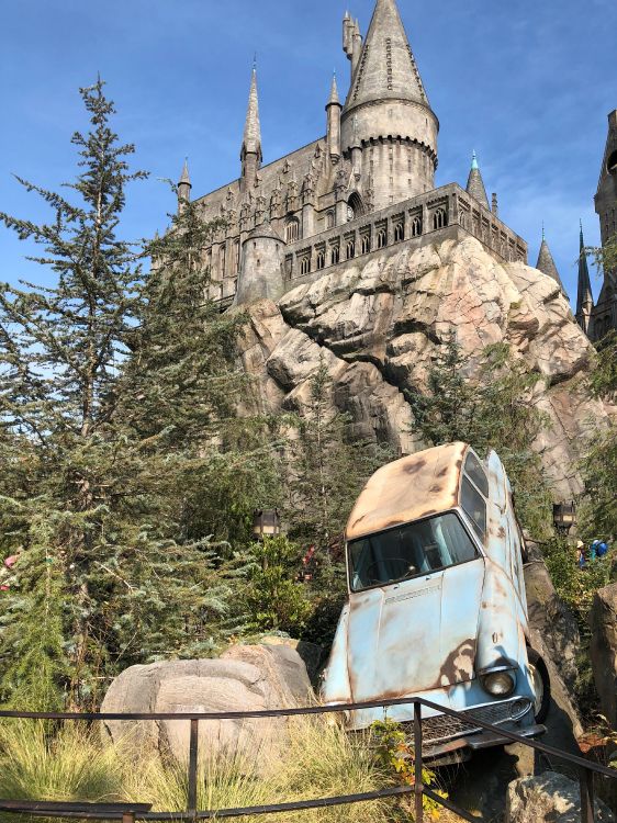 Обои ориентир, растение, здание, растительность, коренная порода в разрешении 3024x4032