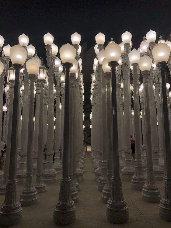 Обои Голливуд, столбец, осветительная арматура, уличный фонарь, физика в разрешении 1536x2048