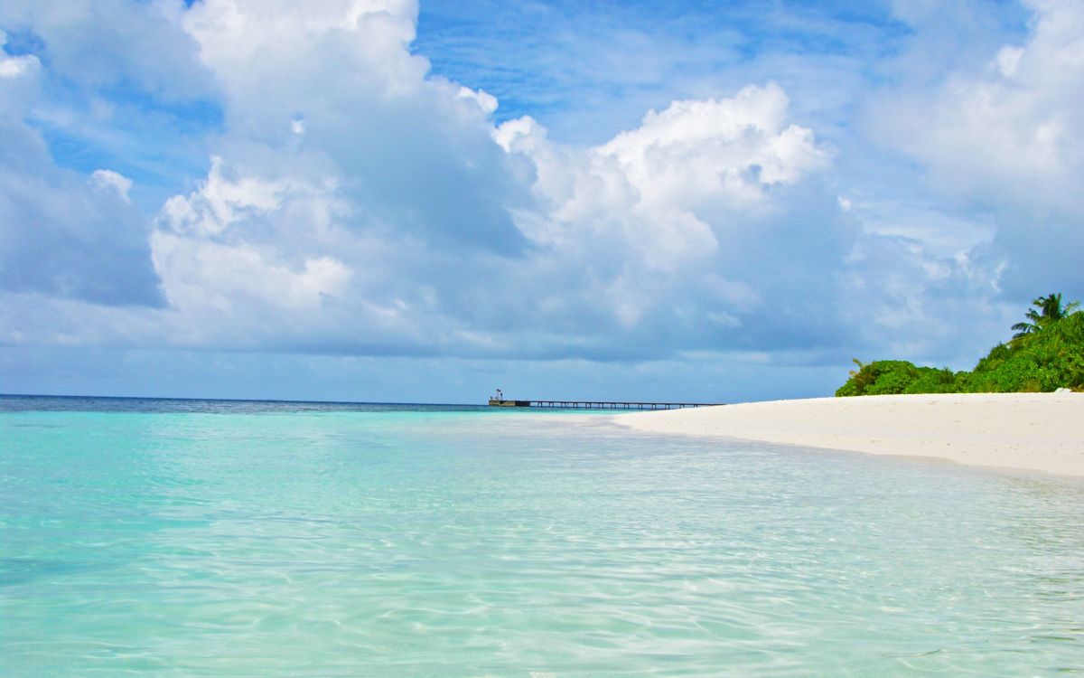 Обои Aurosonic, транс-музыка, Вокал транс, море, океан в разрешении 2560x1600