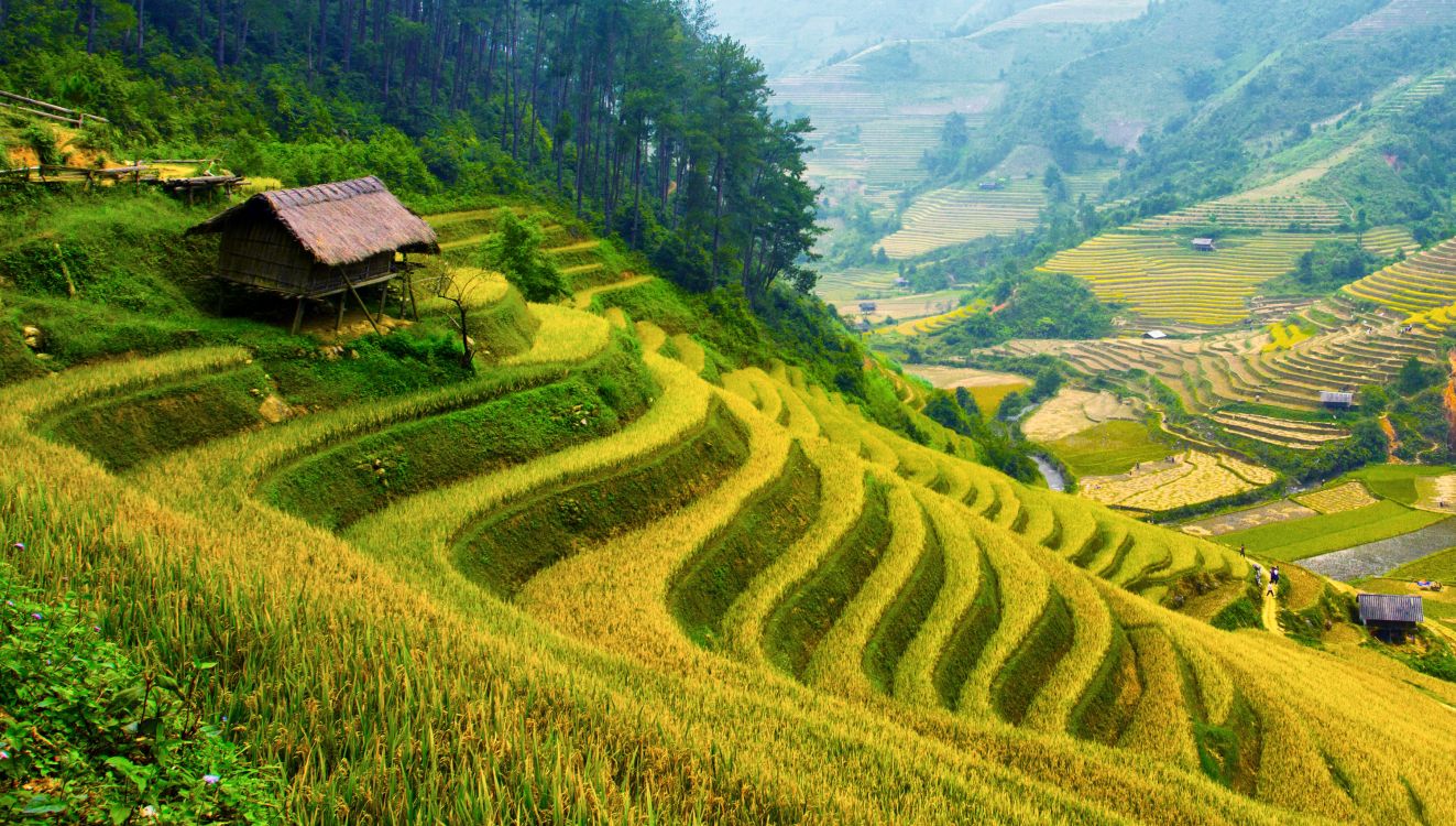 Обои горная станция, терраса, нагорье, природа, природный ландшафт в разрешении 3000x1700