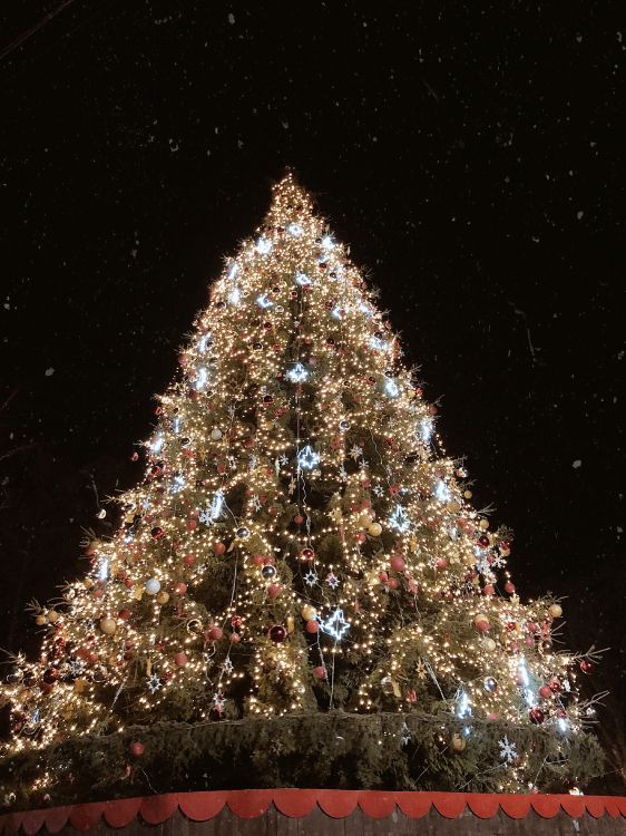 Обои елка, Рождественский день, ель, Рождественские огни, Рождественские украшения в разрешении 3024x4032