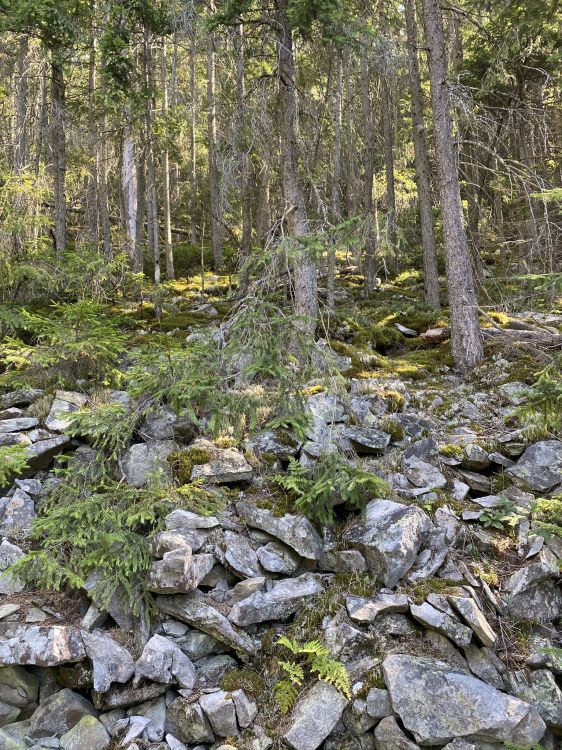 Обои вода, прибрежные зоны, растительность, природа, окружающая среда в разрешении 1536x2048