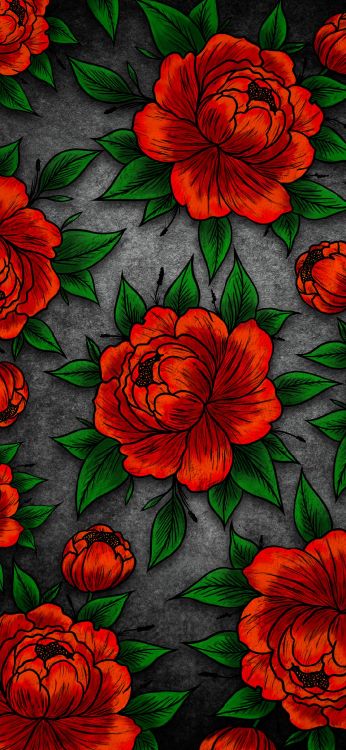 Обои Флора, цветок, растение, зеленый, ботаники в разрешении 1080x2340