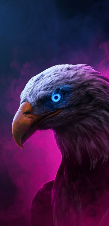 Обои клюв, висгун - социальная сеть, гриф, человек, accipitriformes в разрешении 1080x2220