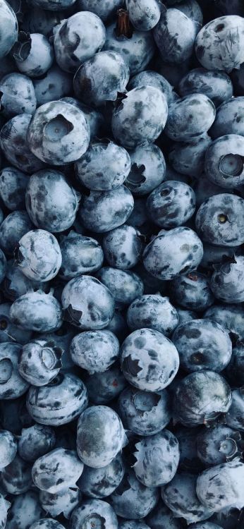 Обои Черника, как чайный гриб, сок, черничное пюре, черничный сок в разрешении 591x1280