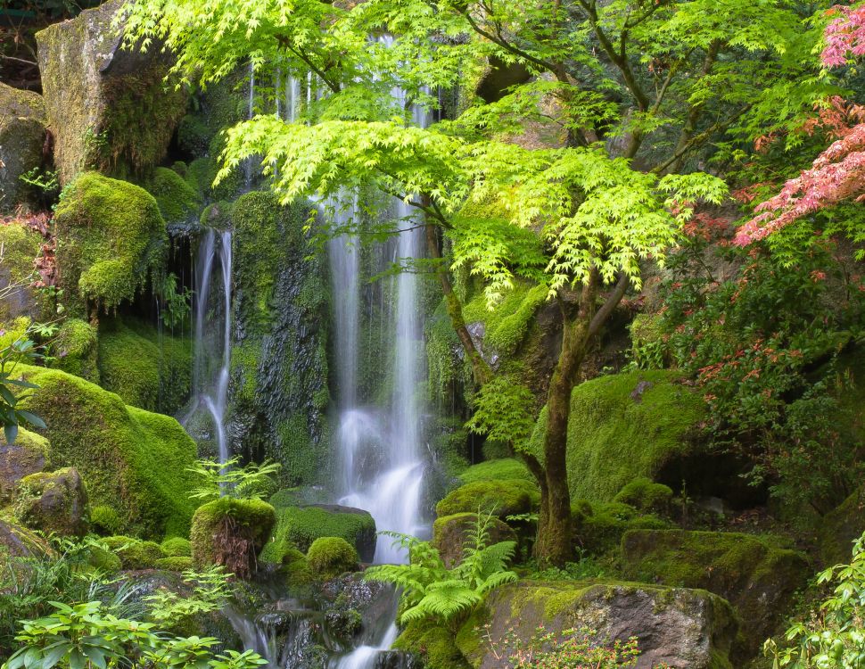 Обои Портлендский Японский Сад, водопад, водоем, природный ландшафт, природа в разрешении 4472x3456