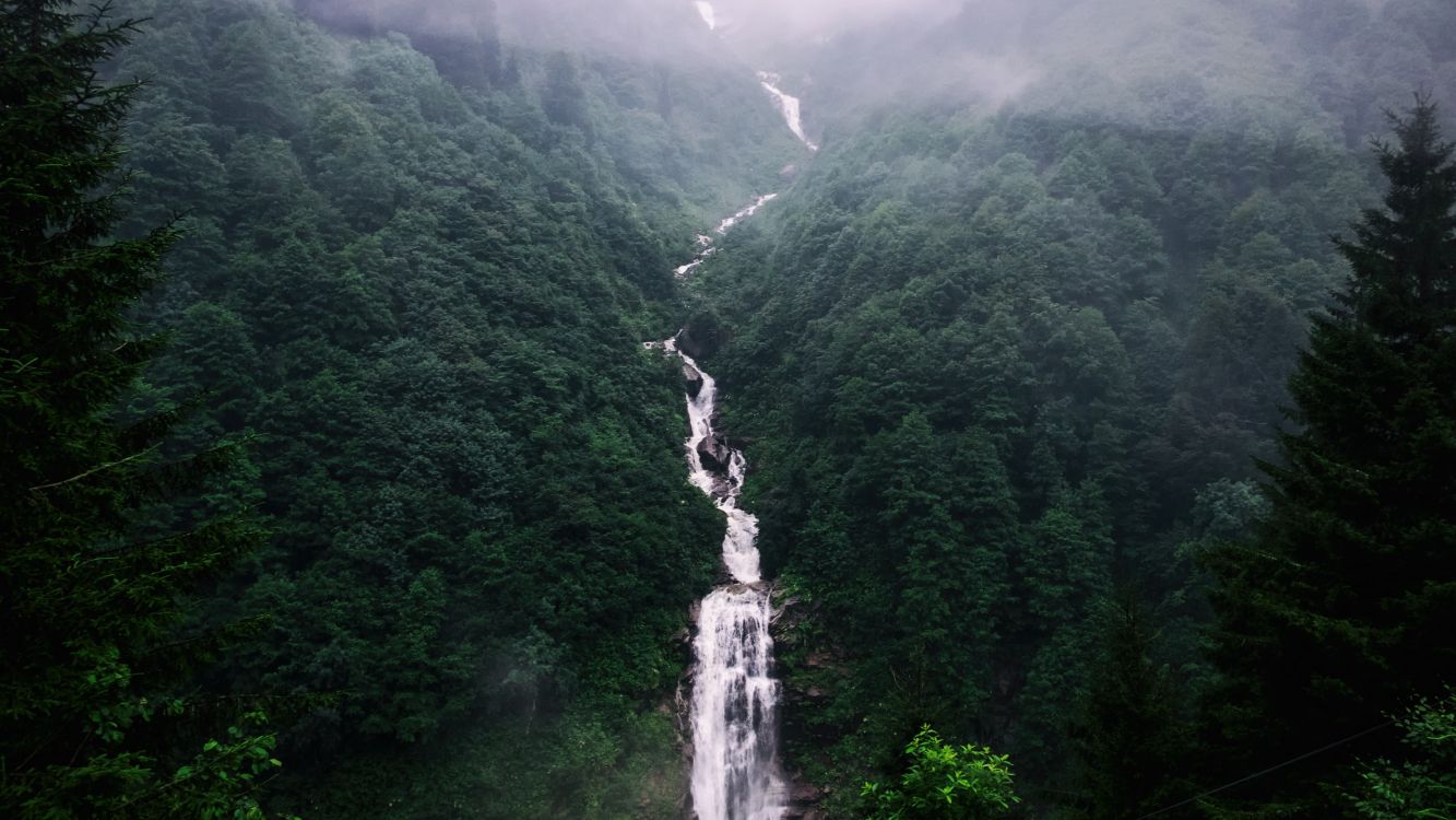 Обои природа, водопад, природный заповедник, горная станция, тропические леса в разрешении 2560x1440