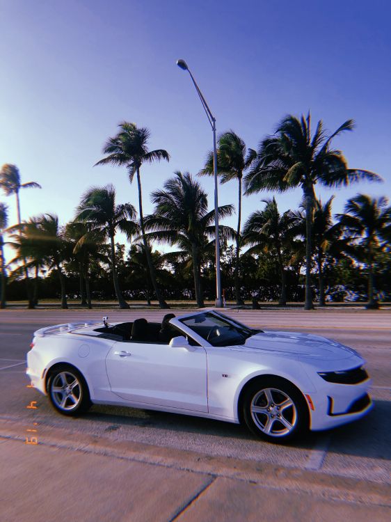 Обои Шевроле камаро, Майами, Кабриолет, Король, компактный автомобиль в разрешении 3024x4032