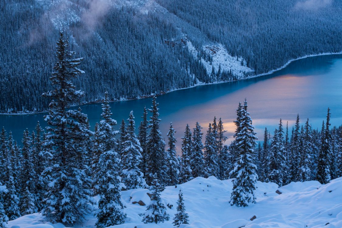 Обои озеро пейто, банфф, природа, снег, зима в разрешении 5493x3662