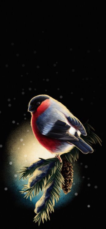 Обои клюв, drawcutie - рисуй милых девушек, птица, растение, крыло в разрешении 1407x3045