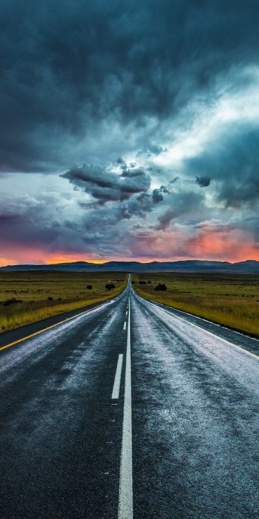 Обои дорога, магистраль, облако, растение, атмосфера в разрешении 1790x3581