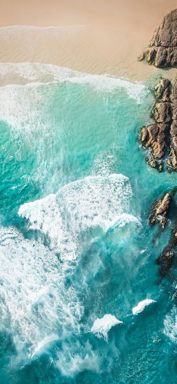 Обои asus, Asus ZenFone, Asus ZenFone 6, OnePlus 6T, fhd в разрешении 1080x2340