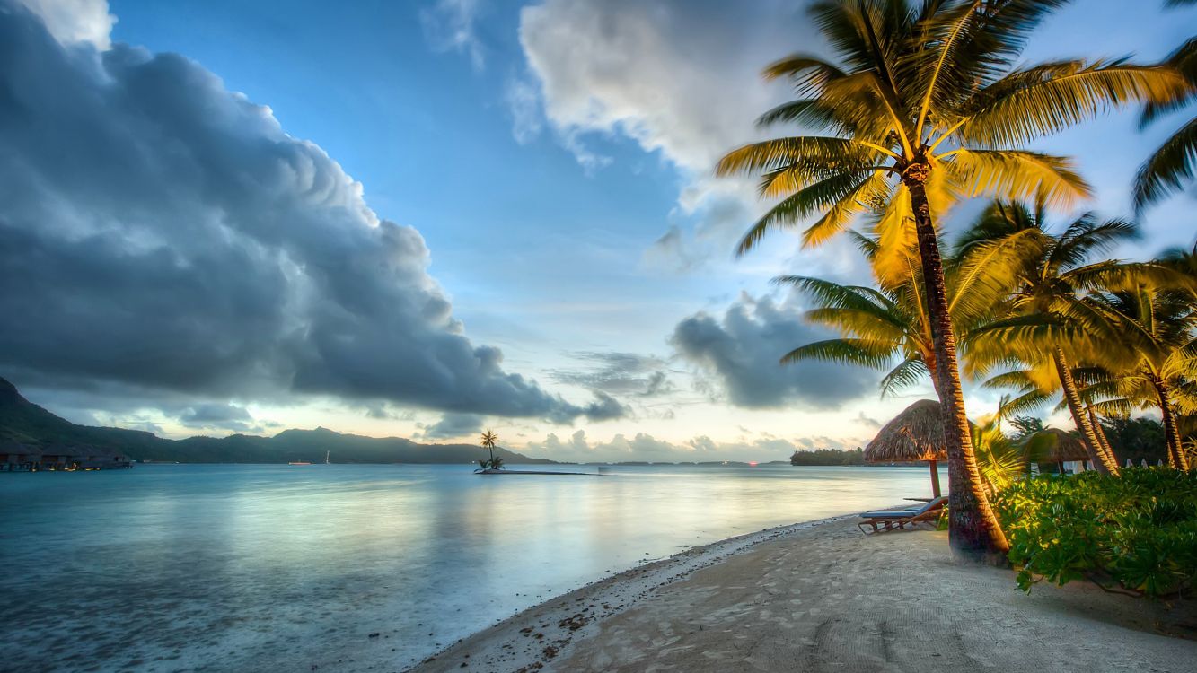 Обои борабора, тропическая зона, море, облако, Пальма в разрешении 2560x1440