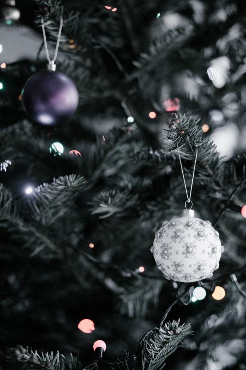 Обои Рождественский день, рождественский орнамент, дерево, Рождественские украшения, елка в разрешении 3280x4928