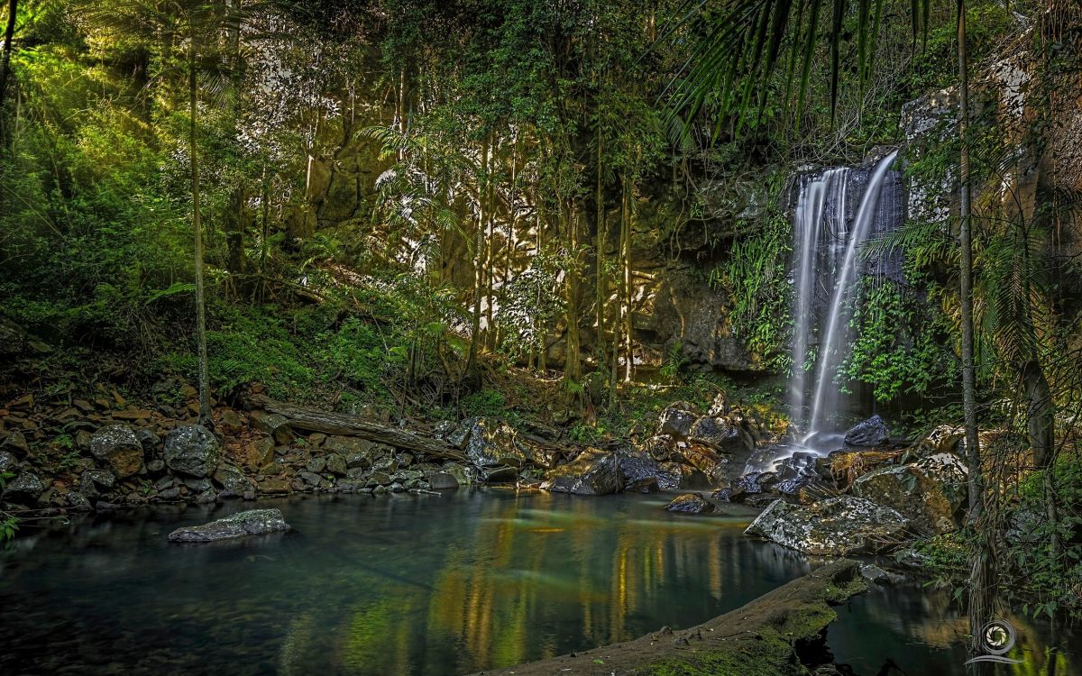 Обои водопад, природный заповедник, реки, водоем, природа в разрешении 2560x1600