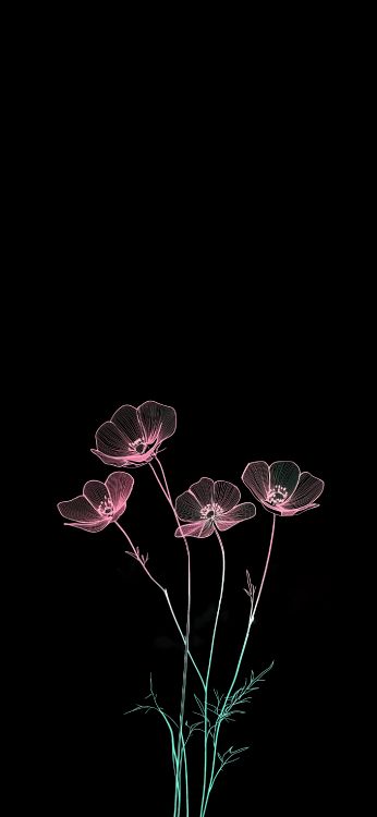 Обои темнота, мир, пользователь, цветок, 2025 в разрешении 1720x3728