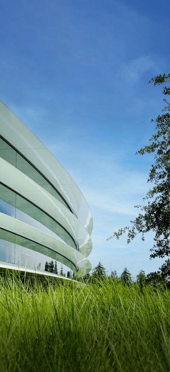 Обои Яблочный Парк, iOS 16, яблоко, ios, iOS 14 в разрешении 2033x4424