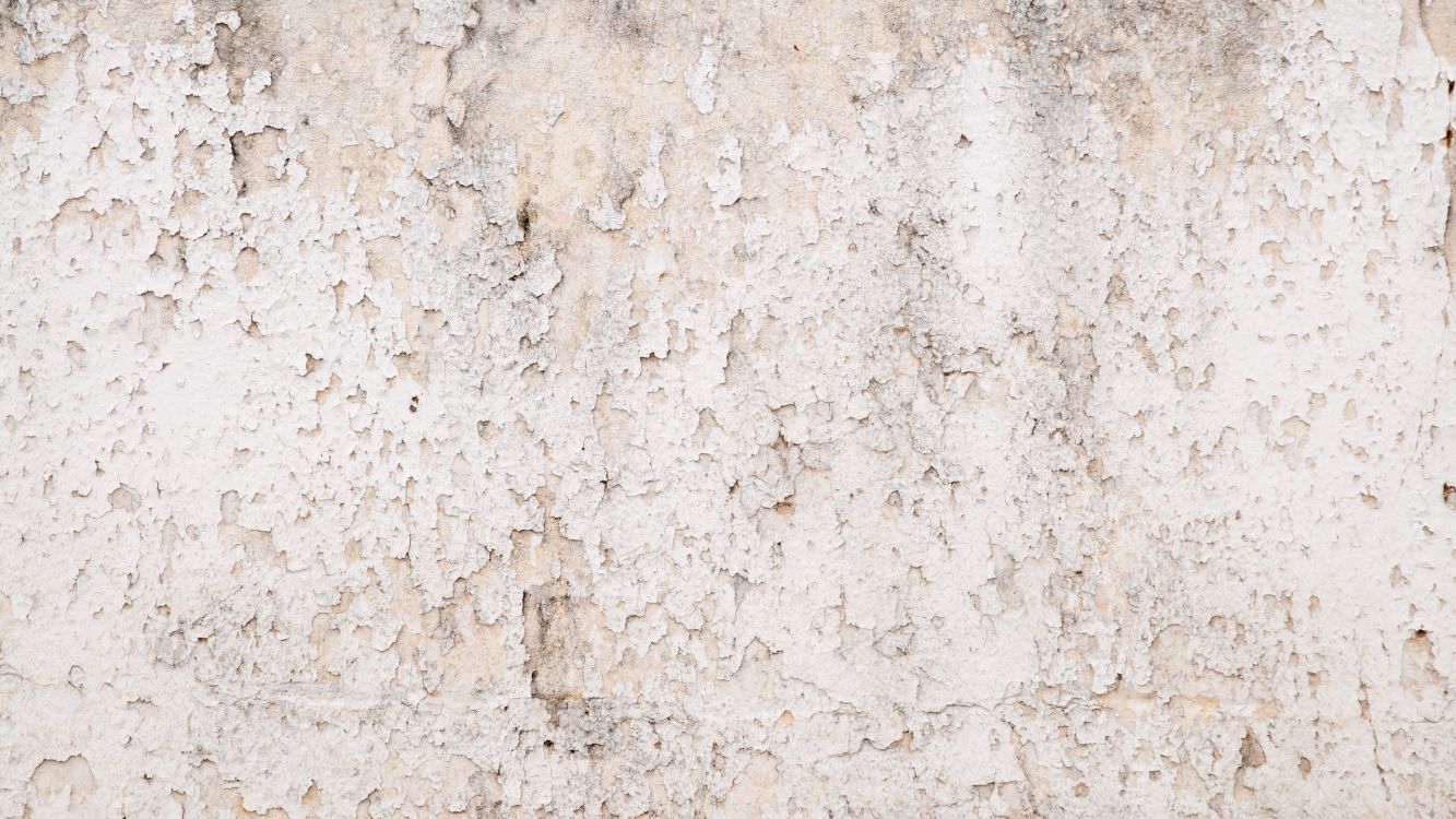 Обои стена, живопись, бетон, фреска, текстура в разрешении 2560x1440