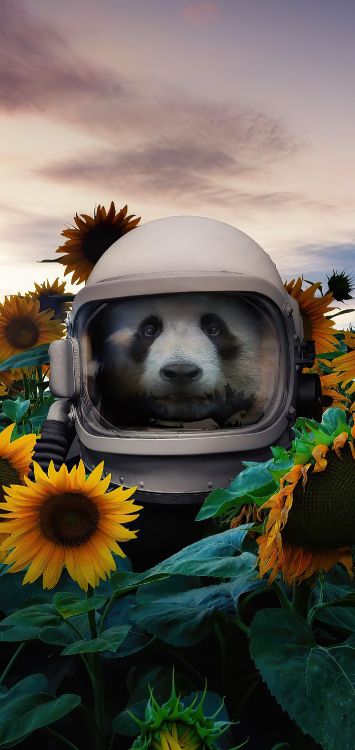 Обои гигантская панда, цветок, облако, датский дог, желтый в разрешении 1421x3000