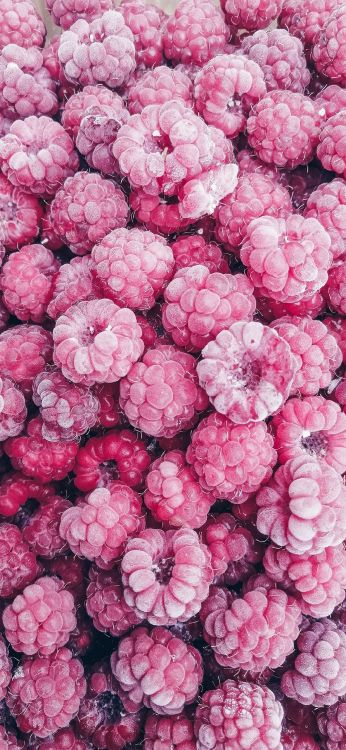 Обои Арбуз обыкновенный, ягоды, фрукты, клубника, клубника малина в разрешении 1080x2340