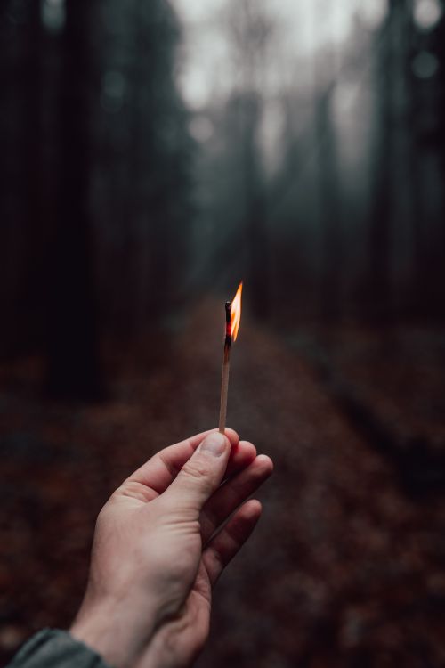 Обои темнота, огонь, палец, свет, крупный план в разрешении 4016x6016