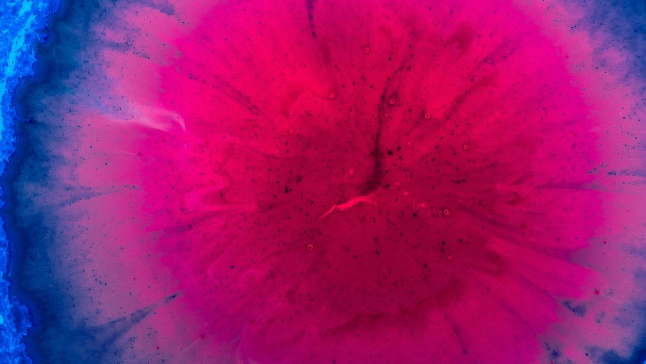 Обои цвет, текстура, абстрактное искусство, розовый, красный цвет в разрешении 3648x2052