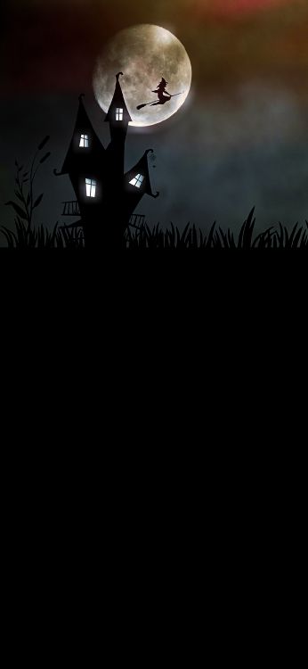 Обои лунный свет, растение, ветвь, полночь, астрономический объект в разрешении 1080x2340