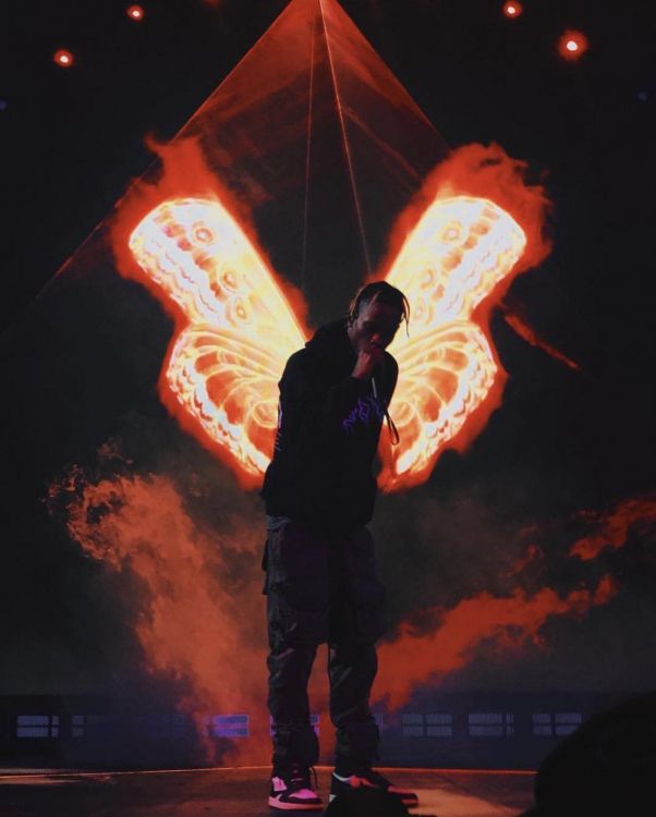 Обои Трэвис Скотт, кактус куртка, свет, Апельсин, освещение в разрешении 1241x1544