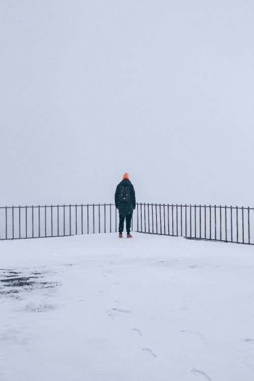 Обои снег, зима, замораживание, стояние, дымка в разрешении 3840x5760