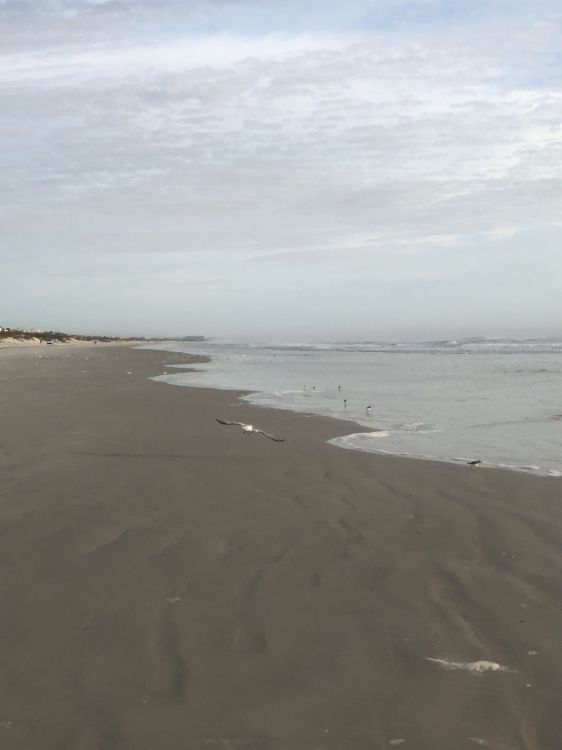 Обои море, мадфлэт, ветровая волна, прилив, водоем в разрешении 2556x3406