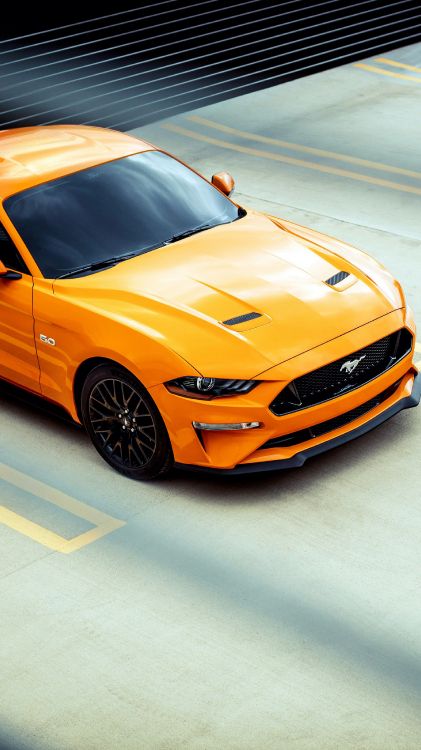 Обои компания Ford, ford, легковые автомобили, Ford Shelby GT500 2020 года, Шелби Мустанг в разрешении 1800x3200