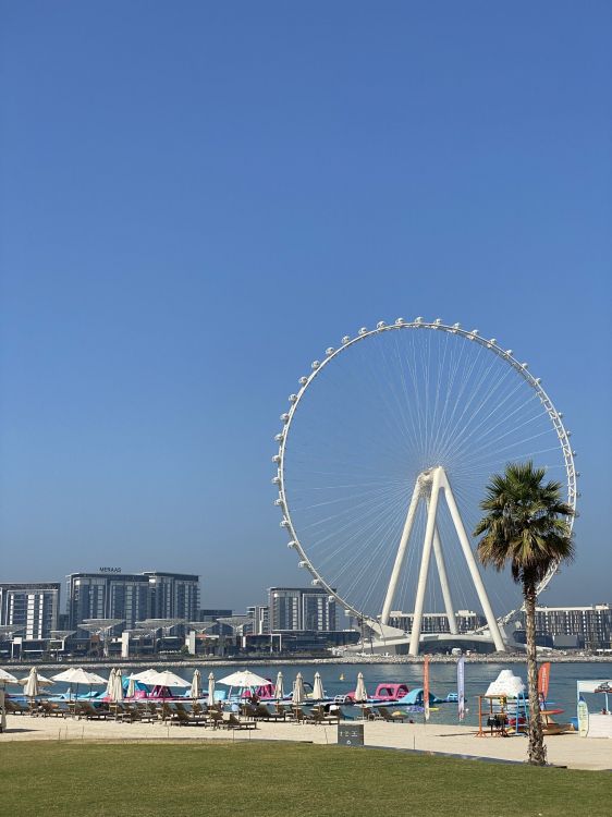 Обои колесо обозрения, водоем, природа, башня, архитектура в разрешении 1536x2048