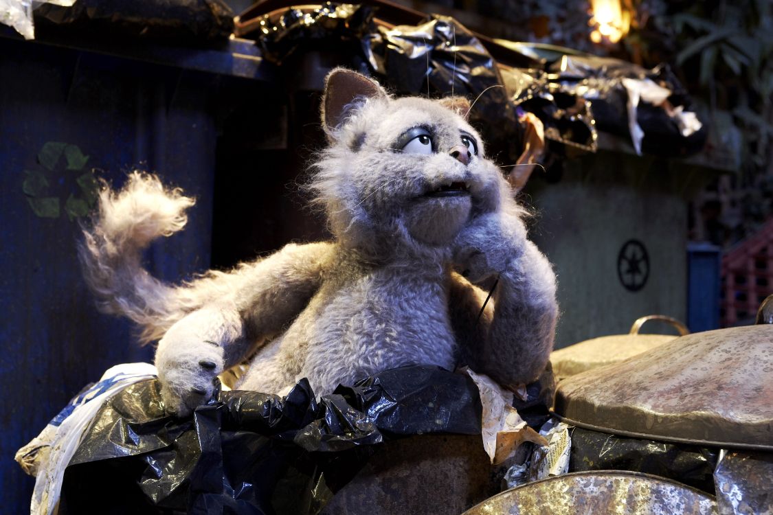 Обои шавок Марион, кот, мех, игрушка, анимация в разрешении 4284x2856