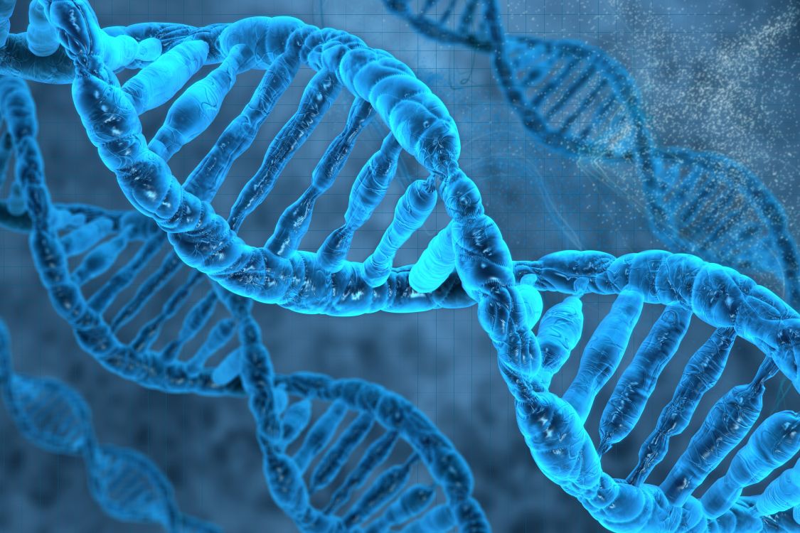 Обои ДНК, геном, синий, морская биология, электрик в разрешении 6000x4000