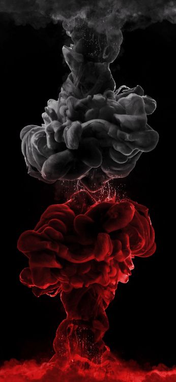 Обои лепесток, газ, узор, темнота, семья Роуз в разрешении 1407x3045