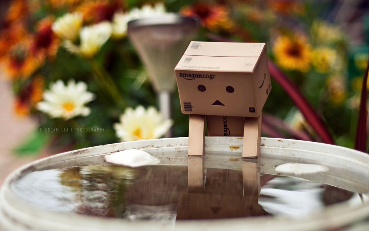 Обои цветы, вода, робот, коробки, danboard в разрешении 1920x1200