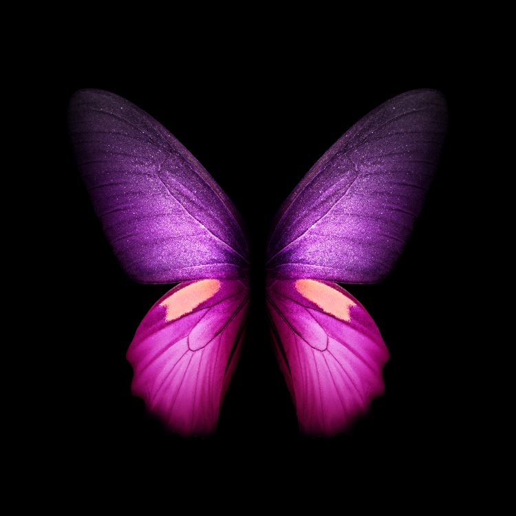 Обои Samsung Galaxy, Samsung, Samsung Galaxy Fold, складной смартфон, смартфон в разрешении 2152x2152