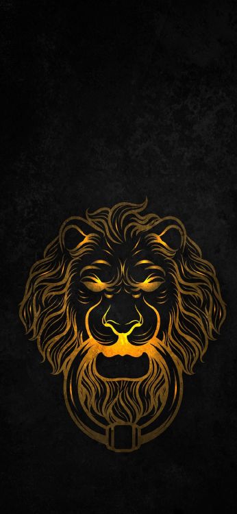 Обои визуальное искусство, волосы, голова, борода, кошачьих в разрешении 1080x2340