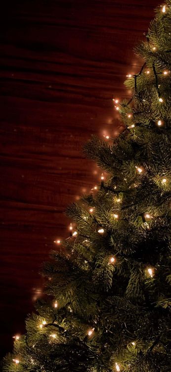 Обои С Рождеством Христовым, елка, Рождественский день, праздник, растение в разрешении 1242x2688