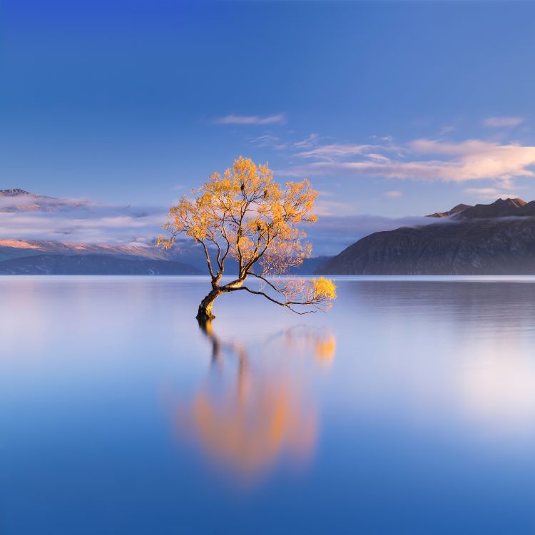 Обои вода, облако, гидроресурсы, растение, гора в разрешении 2772x2772