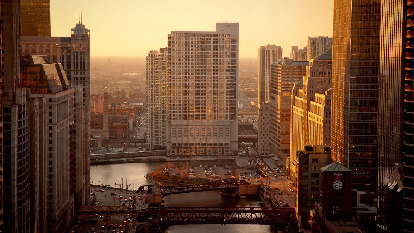 Обои Чикаго, городской пейзаж, город, метрополия, городской район в разрешении 2560x1440