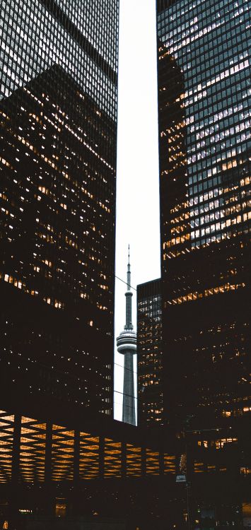 Обои небоскреб, Платье Невесты, Кеннеди Блю, невесты, свадьба в разрешении 1420x3000