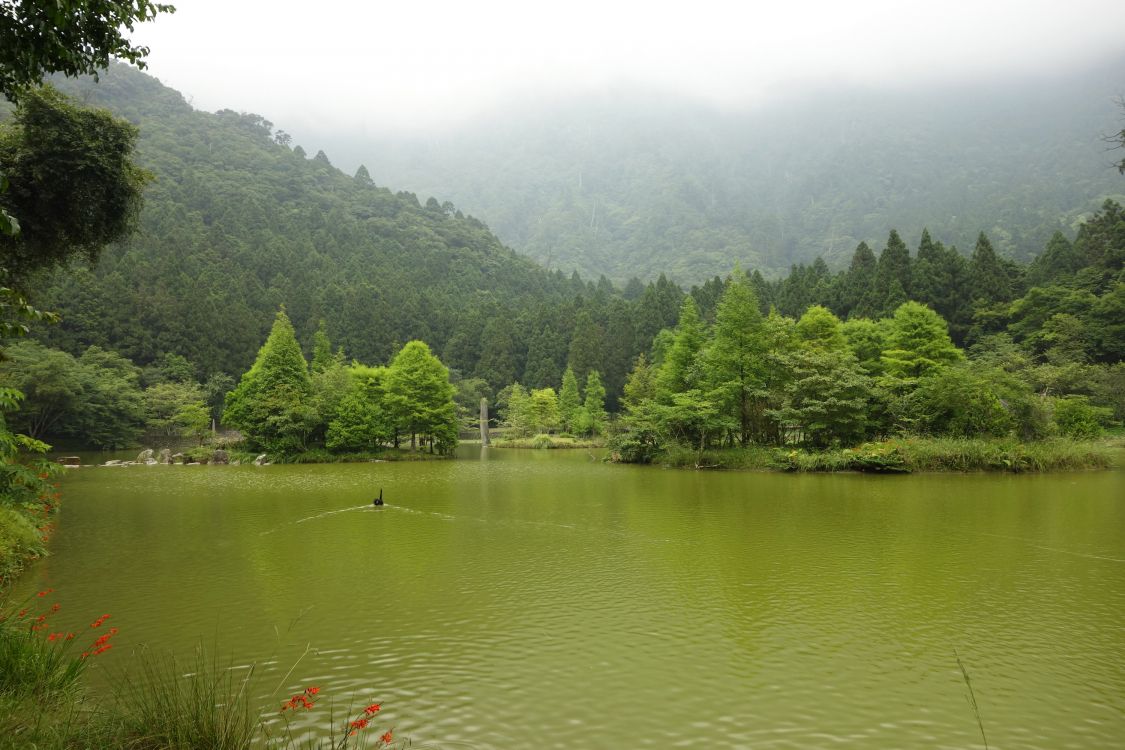 Обои природа, растительность, природный заповедник, тропические леса, гидроресурсы в разрешении 3000x2000